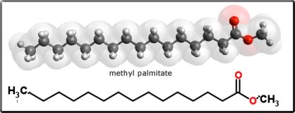 methyl palmitate
